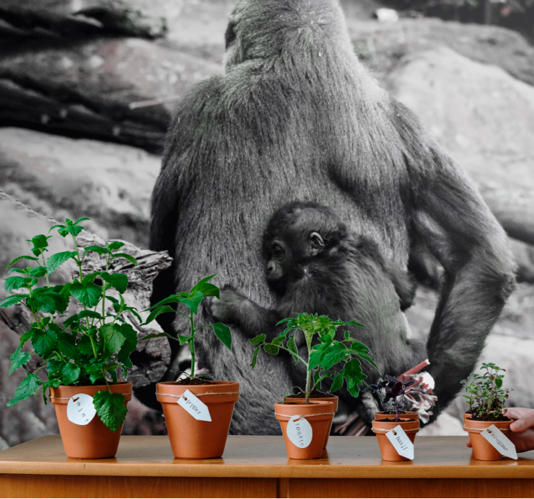 Tapisserie murale animaux mère et bébé gorille - TenStickers