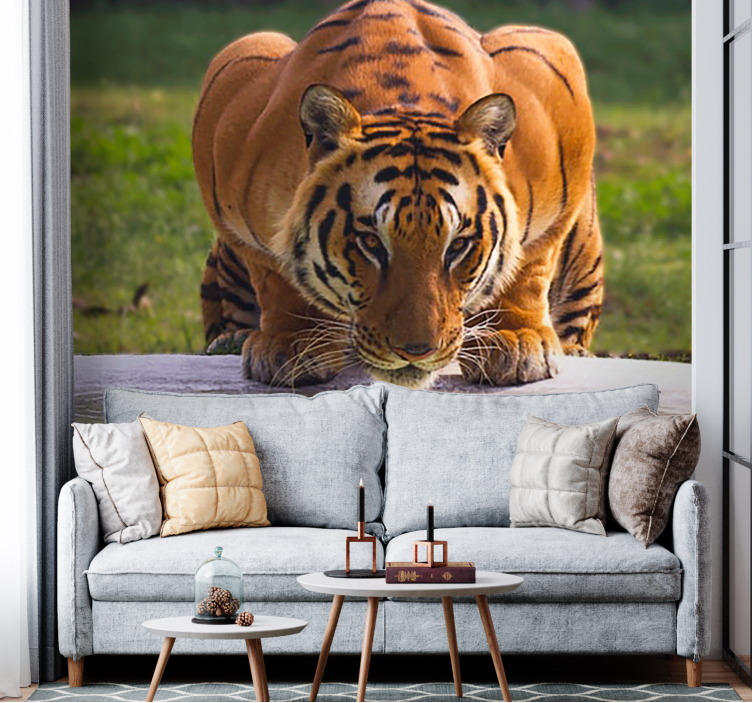 Tapisserie murale animaux tigre royal en pose - TenStickers