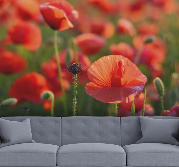 Tapisserie murale coquelicots champ rouge vibrant - TenStickers