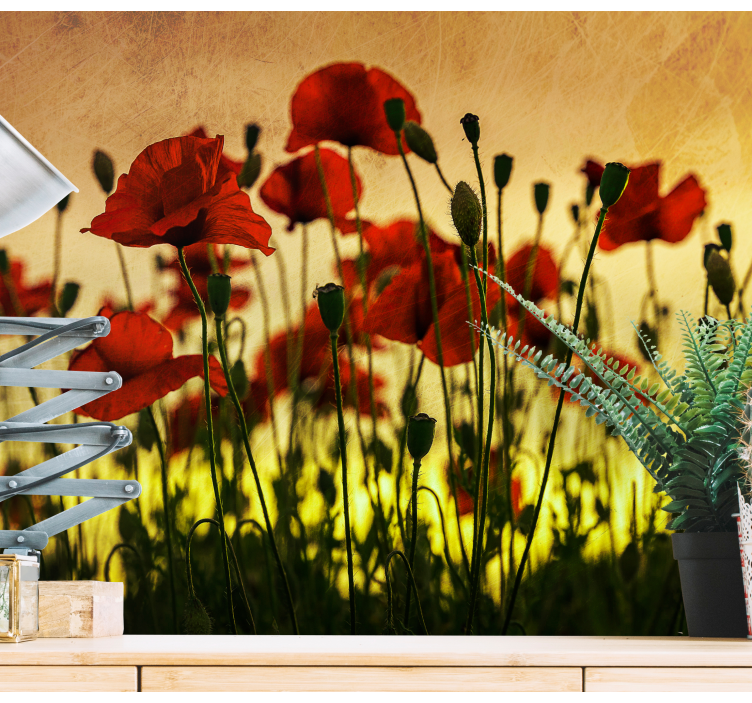 Tapisserie murale coquelicots en fleurs - TenStickers