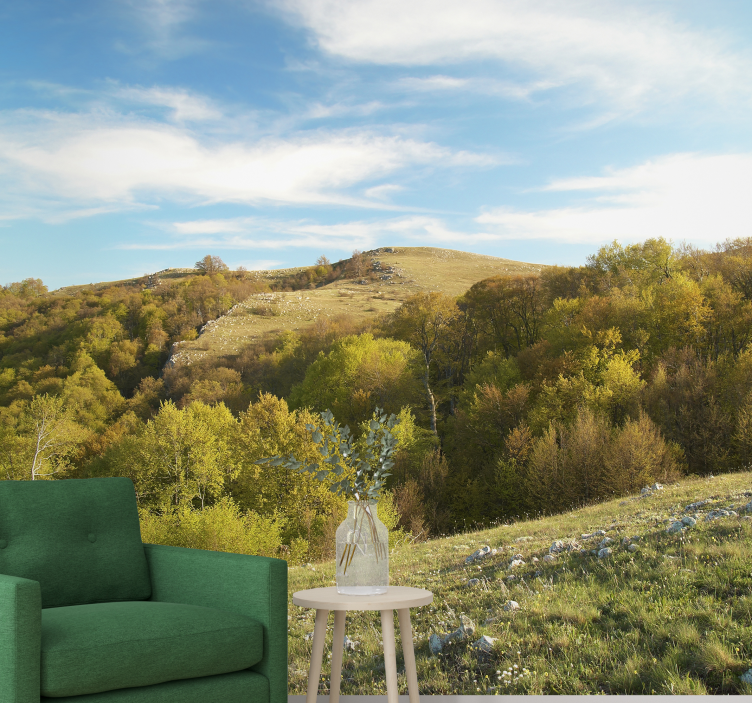 Tapisserie murale paysage collines vallonnées - TenStickers