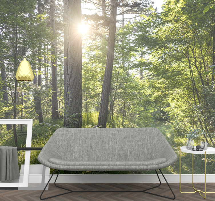 Tapisserie nature chemin lumineux dans la forêt - TenStickers