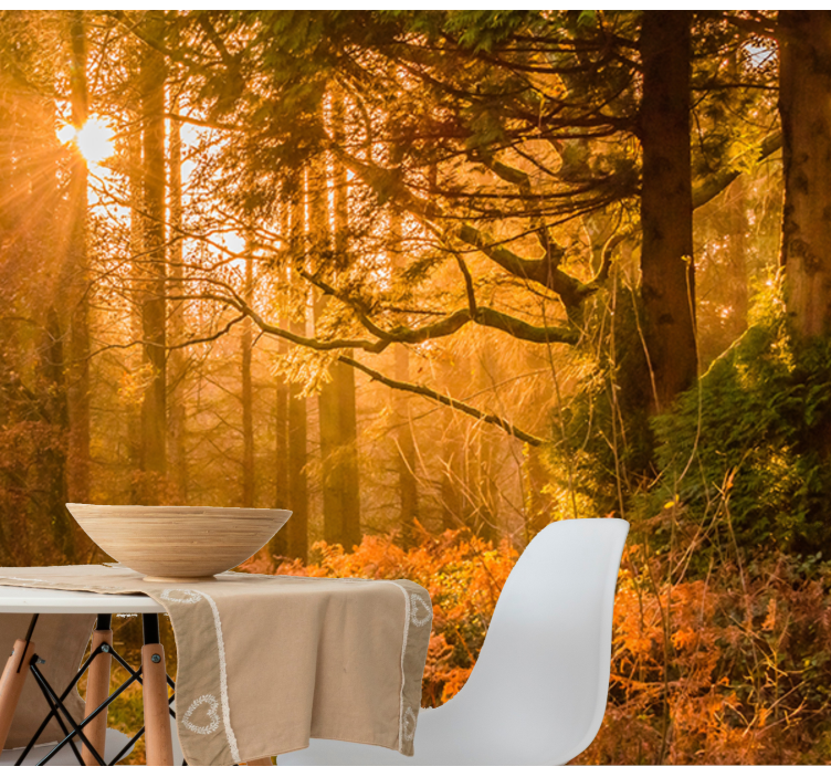 Tapisserie nature paysage boisé illuminé - TenStickers