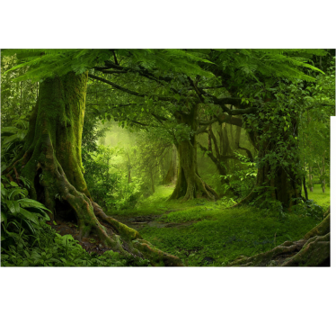 Tapisserie forêt Évasion luxuriante en pleine nature - TenStickers