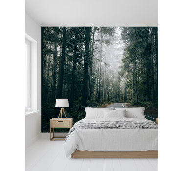 Tapisserie forêt chemin de pins brumeux - TenStickers