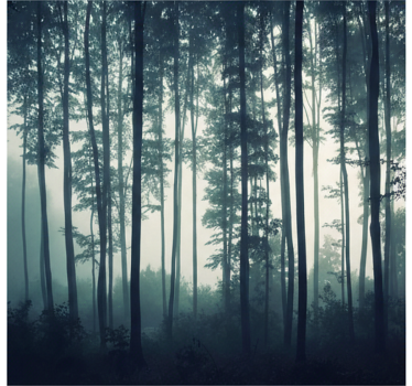 Tapisserie forêt zen peinte - TenStickers