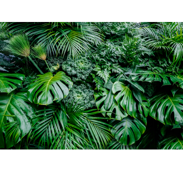 Papier peint forêt jungle plante - TenStickers