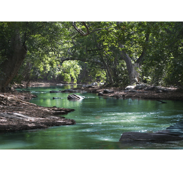 Tapisserie murale forêt et rivière - TenStickers