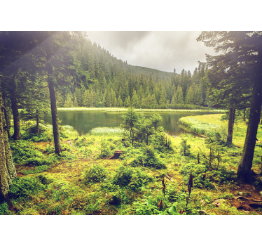 Tapisserie murale arbres verts entourant un lac - TenStickers