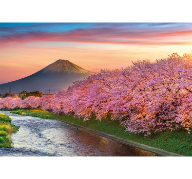 Photo murale nature Forêt de fleurs de cerisier - TenStickers