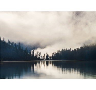 Papier peint mural de lac Arbres et reflets sur l'eau - TenStickers