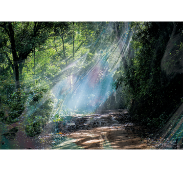 Photo murale nature Forêt d'effet de profondeur 3d - TenStickers