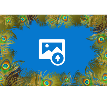 Papier peint panoramique Plumes de paon avec photo personnalisab - TenStickers