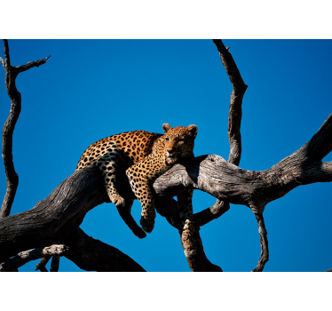 Photo murale d'animaux Léopard portant sur un arbre - TenStickers