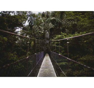 Tapisserie nature aventure sur le pont suspendu - TenStickers