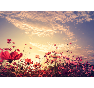 Photo murale de fleurs Paysage naturel fond fleurs - TenStickers