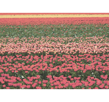 Photo murale de fleurs Différents types de champs de fleurs - TenStickers