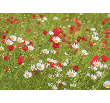 Tapisserie fleur champ de fleurs vibrant - TenStickers