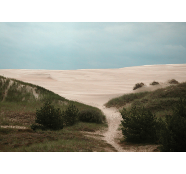 Tapisserie murale paysage chemin de dunes de sable - TenStickers