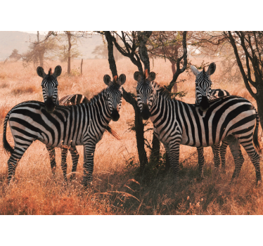 Tapisserie murale animaux zèbres dans la nature - TenStickers