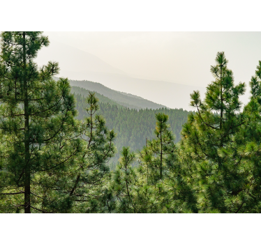 Tapisserie nature paysage de verdure luxuriante - TenStickers