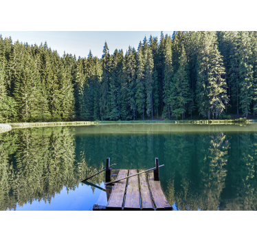 Papier peint mural foret Lac avec des arbres verts derrière - TenStickers