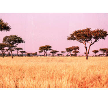 Papier peint savane Savane africaine originale - TenStickers