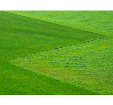 Tapisserie nature champs verts purs - TenStickers