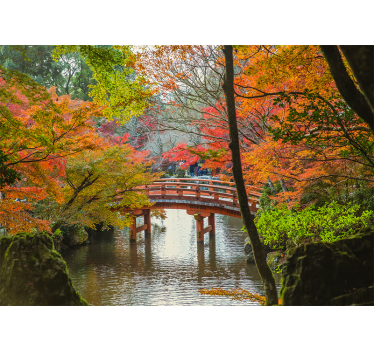 Photo murale arbres Forêt 'jardin japonais' - TenStickers