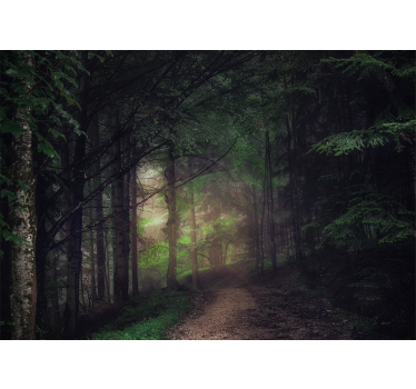 Photo murale arbres Forêt ancienne - TenStickers