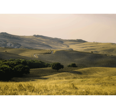 Tapisserie murale paysage collines ondulées - TenStickers