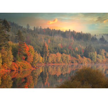 Photo murale arbres Arbres colorés et lac calme - TenStickers