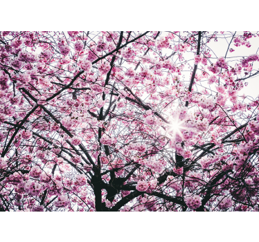 Tapisserie murale arbre fleurs de cerisier - TenStickers