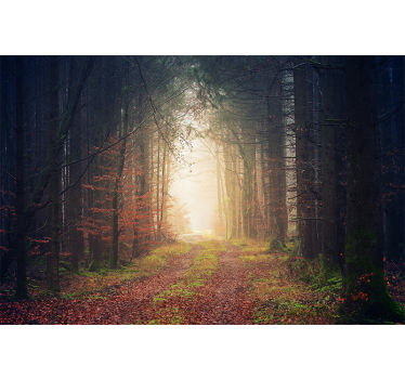 Tapisserie murale forêt route d'automne - TenStickers