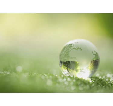 Photo murale Goutte d'eau sur l'herbe - TenStickers