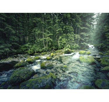 Photo murale Une rivière dans la forêt - TenStickers