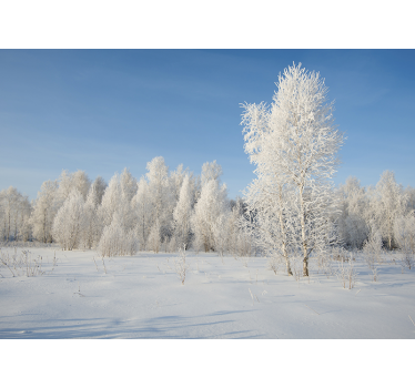 Photo murale Forêt en hiver et neige - TenStickers