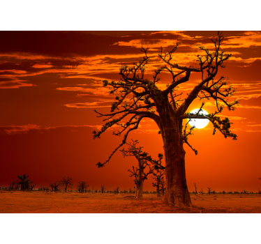 Photo murale paysage Un coucher de soleil - TenStickers
