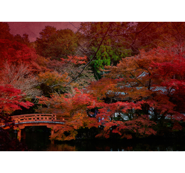 Photo murale nature L'automne au japon - TenStickers
