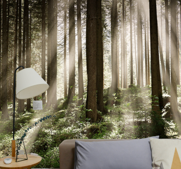 Papier peint mural foret De grands arbres - TenStickers