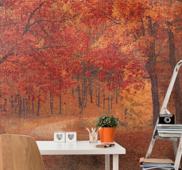 Tapisserie panoramique arbres automne feuilles rouges et oranges - TenStickers