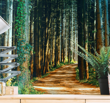 Photo murale arbres Beau sentier nature - TenStickers