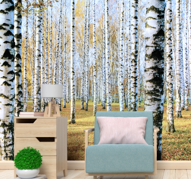 Photo murale arbres Bouleau - TenStickers
