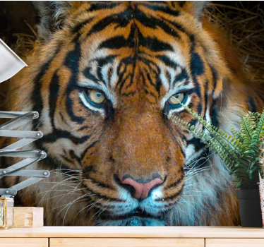 Photo murale d'animaux Tigre calme et menaçant - TenStickers