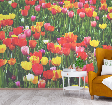 Photo murale de fleurs Différentes couleurs de champ de fleurs - TenStickers
