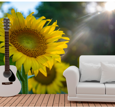 Photo murale de fleurs Lumineux trois tournesols - TenStickers