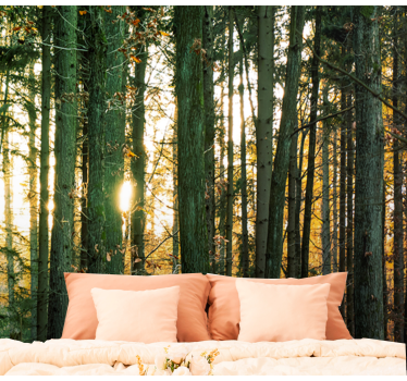 Papier peint panoramique forêt polonaise de bouleaux - TenStickers