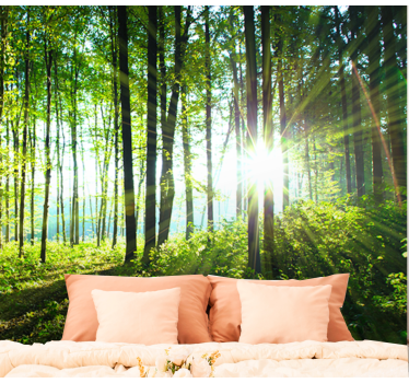 Photo murale nature Paysage forestier lumière - TenStickers