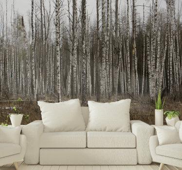 Photo murale Paysage de forêt - TenStickers