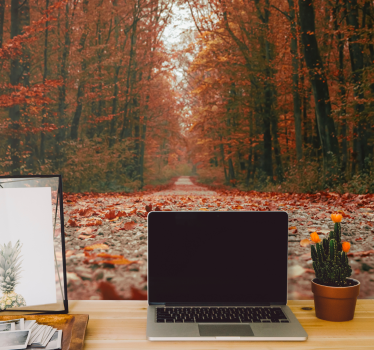 Tapisserie forêt chemin d'automne - TenStickers